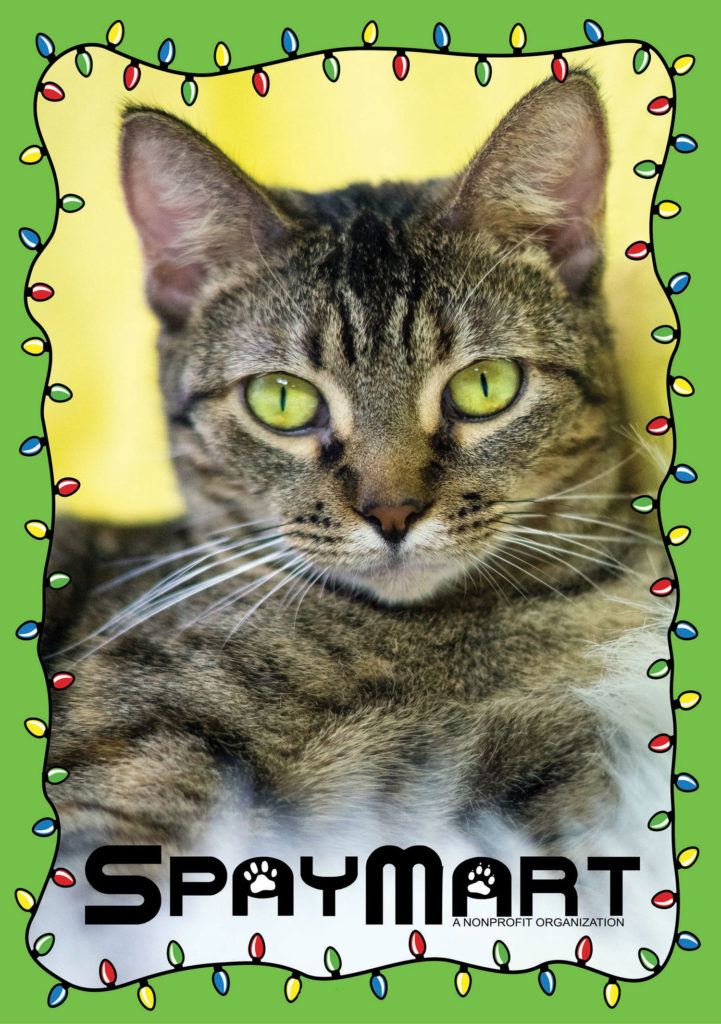 Spaymart Annual Before and After Christmas Appeal