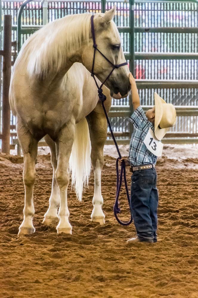 4-H Horse Show